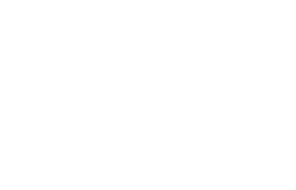 Liquidation SPA